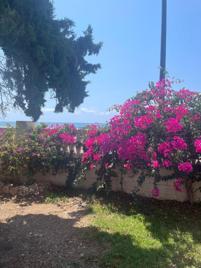 Tahiti Dreams Apartman El Campello Kültér fotó